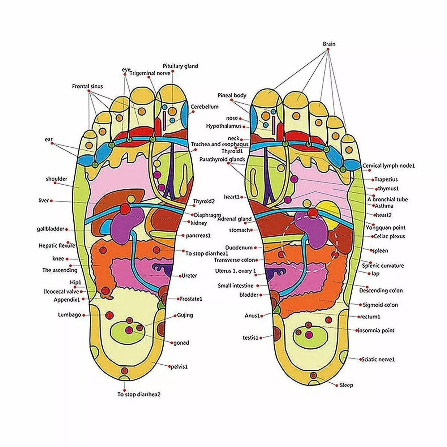 PressurePoint Massage Slippers™